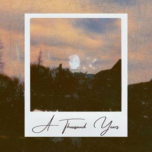 天涯黄网av影院导航
