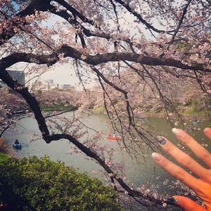 天涯黄网av影院导航
