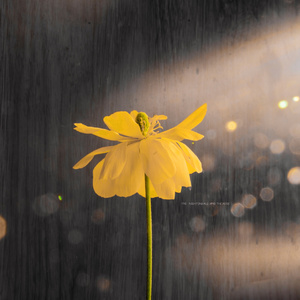 天涯黄网av影院导航
